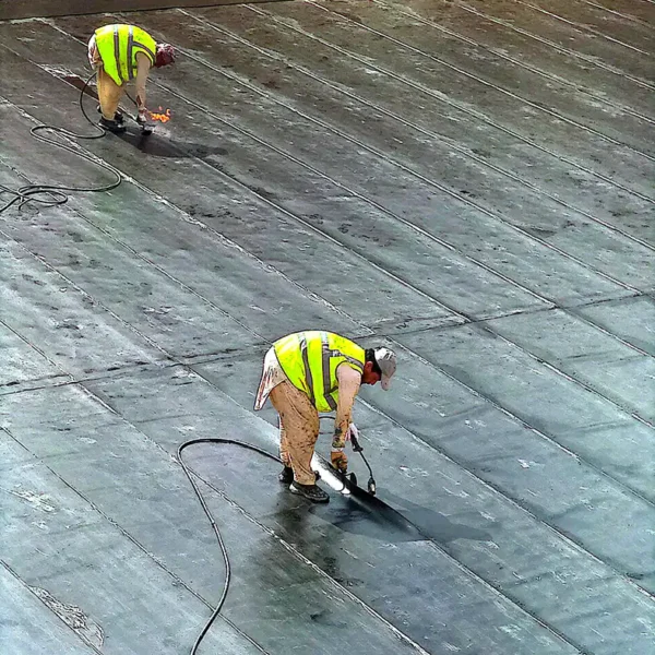 الرئيسية 11 Page 140 600x600