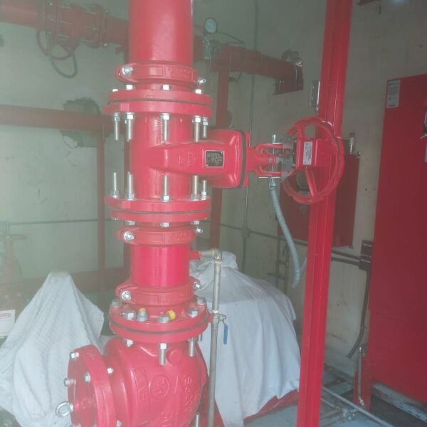 الرئيسية 14 Photo 5798869366672657646 y 600x600