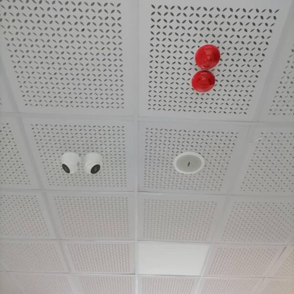 الرئيسية 16 Photo 5798869366672657648 y 600x600