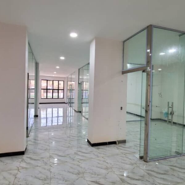 الرئيسية 19 Photo 5798869366672657651 y 600x600