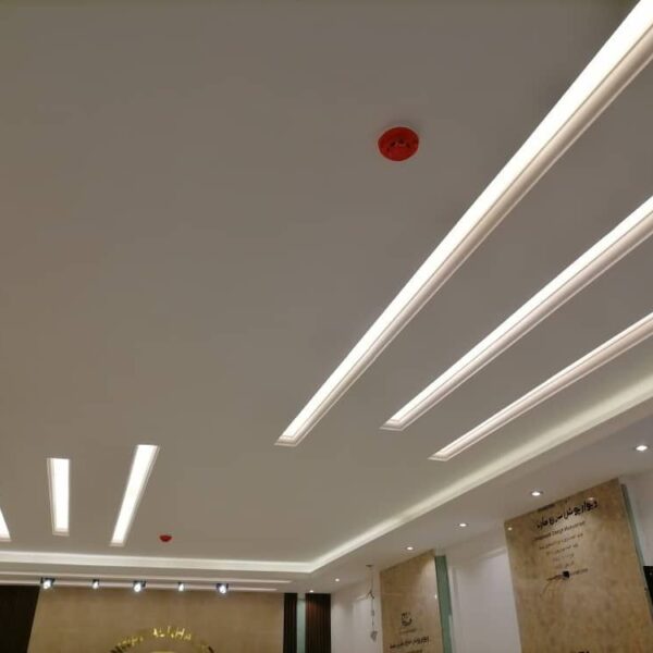 الرئيسية 20 Photo 5798869366672657652 y 600x600